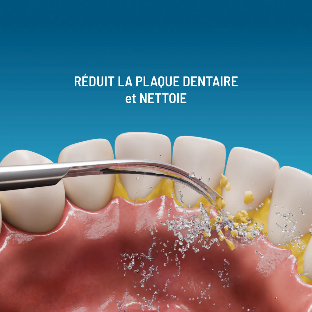 Brosse à dents électrique 3-en-1 : brossage, jet interdentaire, détartrage